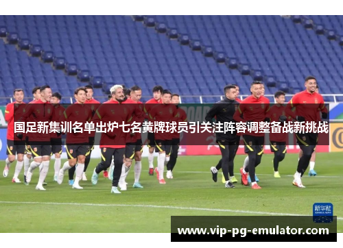 国足新集训名单出炉七名黄牌球员引关注阵容调整备战新挑战