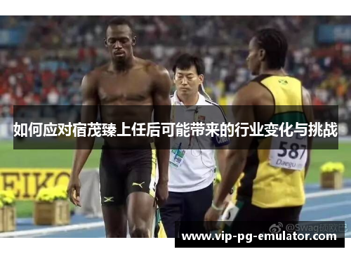 如何应对宿茂臻上任后可能带来的行业变化与挑战