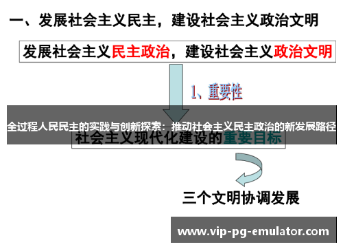 全过程人民民主的实践与创新探索：推动社会主义民主政治的新发展路径