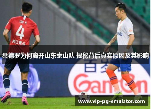 桑德罗为何离开山东泰山队 揭秘背后真实原因及其影响