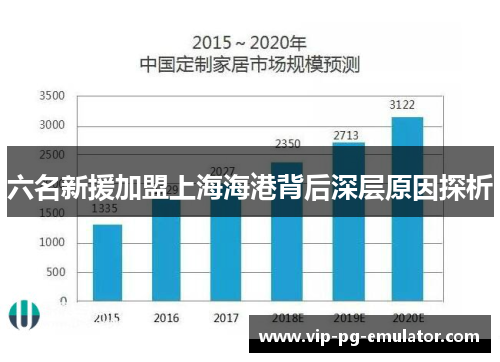 六名新援加盟上海海港背后深层原因探析