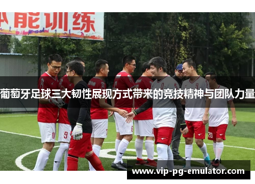 葡萄牙足球三大韧性展现方式带来的竞技精神与团队力量