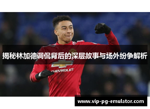 揭秘林加德调侃背后的深层故事与场外纷争解析