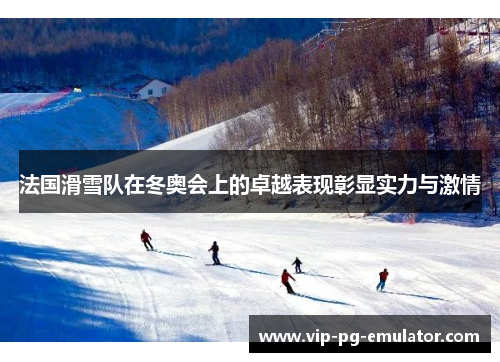 法国滑雪队在冬奥会上的卓越表现彰显实力与激情