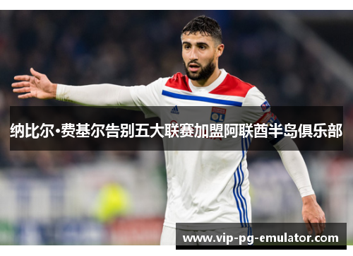 纳比尔·费基尔告别五大联赛加盟阿联酋半岛俱乐部