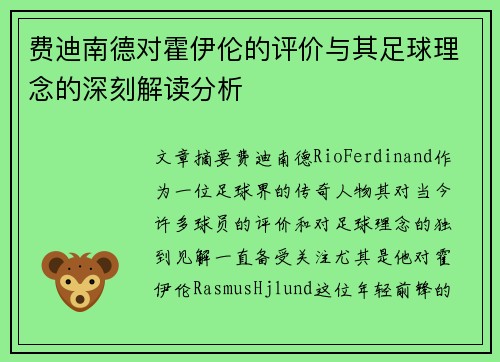 费迪南德对霍伊伦的评价与其足球理念的深刻解读分析
